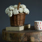 Flower Basket With 20 Dried Sola Roses