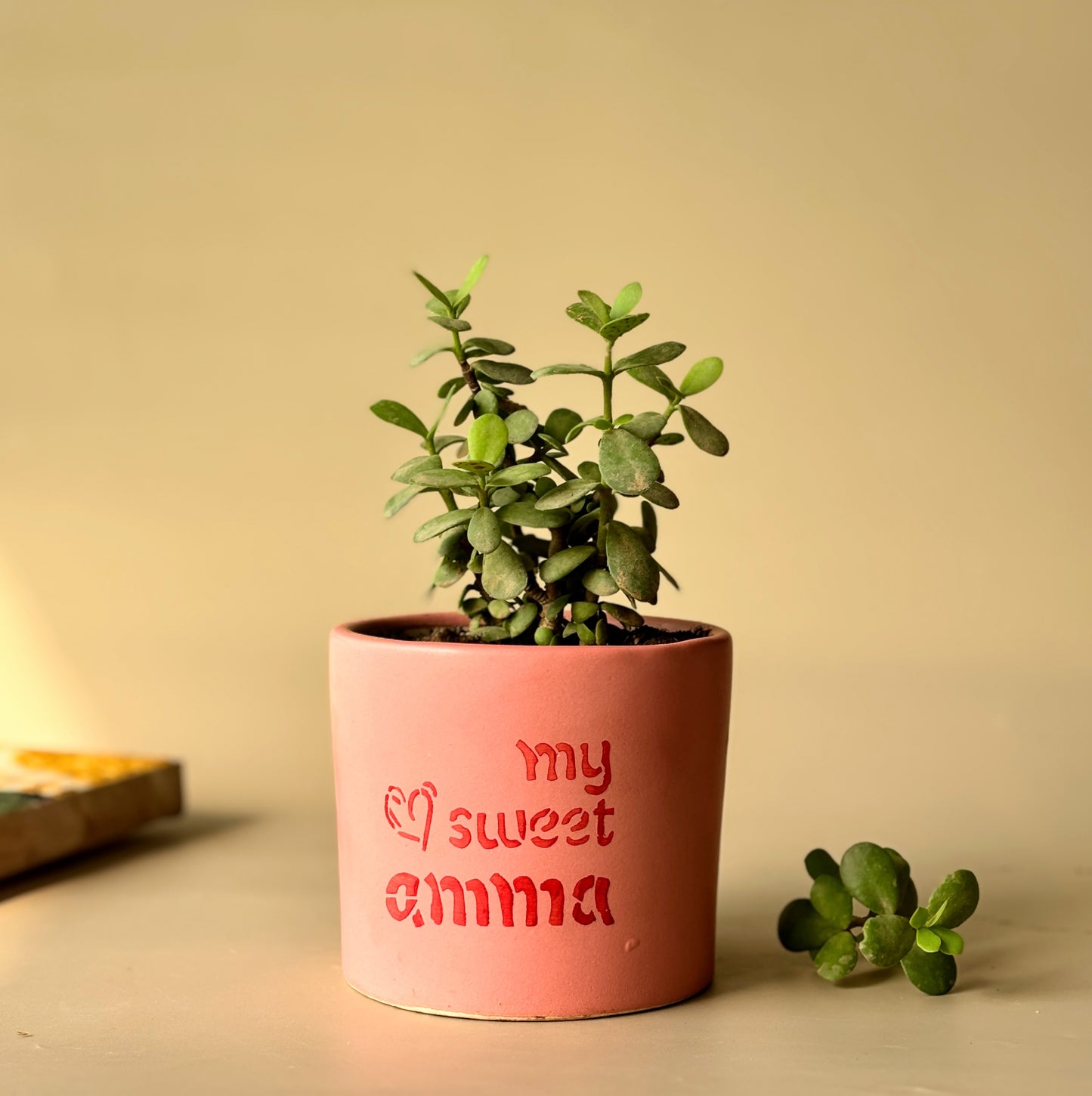 Ma + Amma Planters | Combo