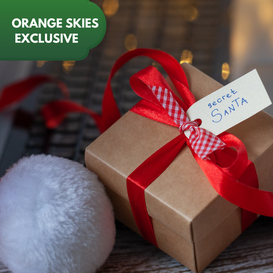 Secret Santa - Ver 03 | Pay Rs. 3999, Get Products Worth Rs. 11.5k